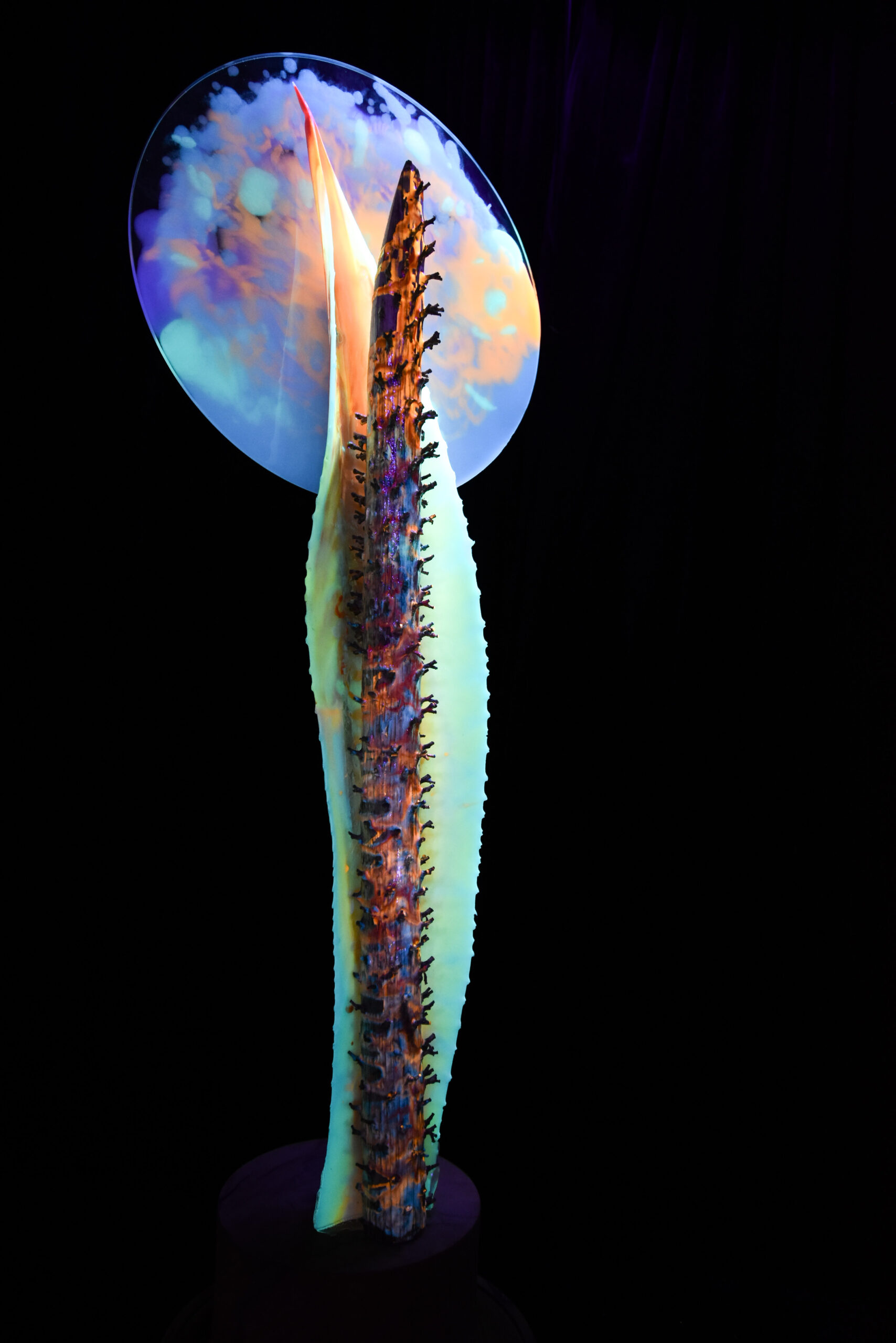 photo of sculpture of Agave Leaf and Blue Full Moon